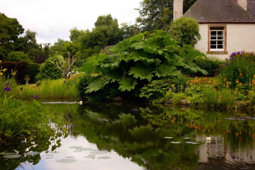 The Dower House Hotell Muir of Ord Rum bild