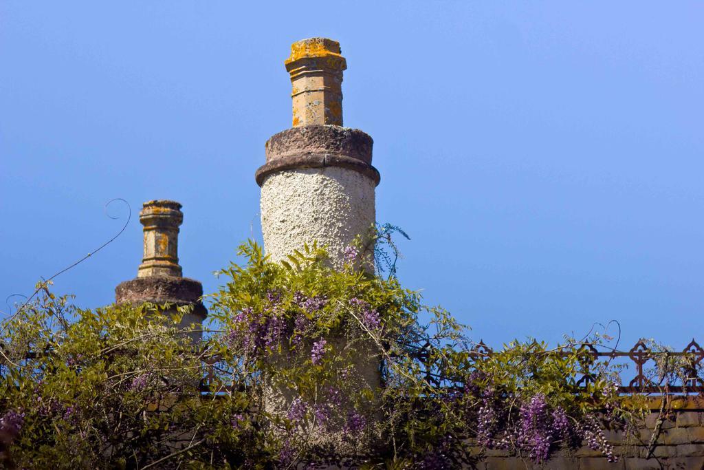 The Dower House Hotell Muir of Ord Exteriör bild